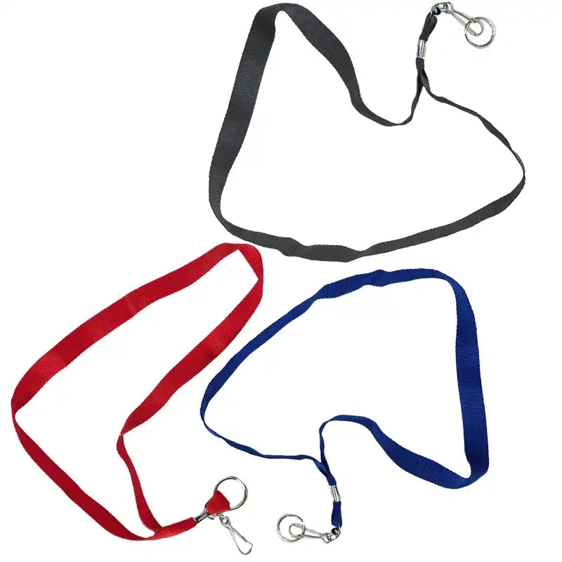 Keychain Charms 17 Vibrant Lanyards for Keys & More